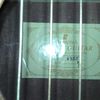 thumb_WP_000342.jpg