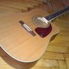 thumb_WP_000450.jpg