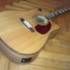 thumb_WP_000532.jpg