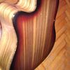 thumb_WP_000535.jpg