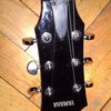 thumb_WP_000706.jpg