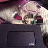 thumb_WP_000842.jpg