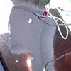 thumb_WP_000879.jpg