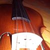 thumb_WP_001071.jpg