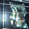 thumb_WP_001598.jpg