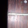 thumb_WP_001770.jpg