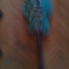 thumb_WP_001780.jpg