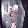 thumb_WP_001794.jpg