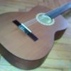 thumb_WP_001804.jpg