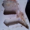 thumb_WP_001929.jpg