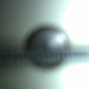 thumb_WP_002088.jpg