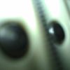 thumb_WP_002089.jpg