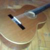 thumb_WP_002200.jpg
