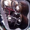 thumb_WP_002254.jpg
