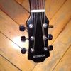 thumb_WP_002373.jpg