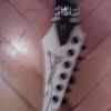 thumb_WP_002381.jpg