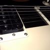 thumb_WP_002411.jpg