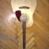 thumb_WP_002481.jpg