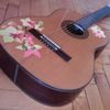 thumb_WP_002490.jpg
