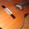 thumb_WP_002675.jpg