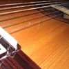 thumb_WP_002676~0.jpg