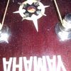 thumb_WP_002780.jpg