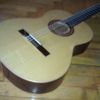 thumb_WP_002929.jpg