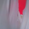 thumb_WP_002970.jpg