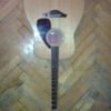 thumb_WP_003054.jpg