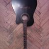 thumb_WP_003181.jpg