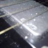 thumb_WP_003227.jpg