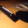 thumb_WP_003422.jpg