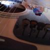 thumb_WP_003516.jpg