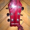thumb_WP_006215.jpg